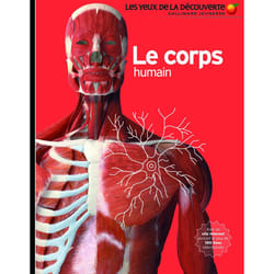 Le corps humain