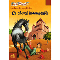 Garin Trousseboeuf Tome 8 : le cheval indomptable