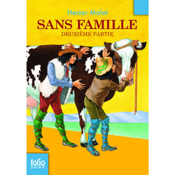 Sans famille Tome 2