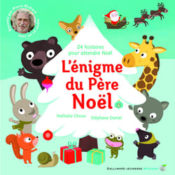 L'énigme du père noël : 24 histoires pour attendre Noël