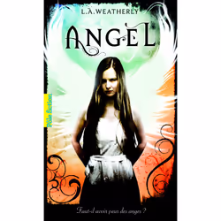 ISBN Angel, Français, 512 pages