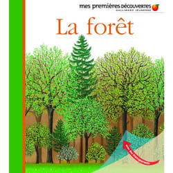 La forêt