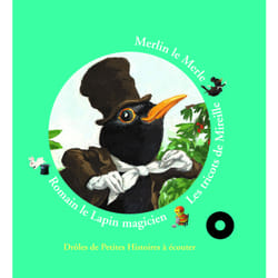 Histoires de Merlin le merle, les tricots de Mireille, Romain le lapin magicien