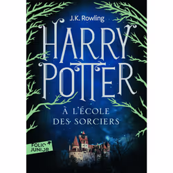 ISBN Harry Potter à l'école des sorciers, Français, 320 pages