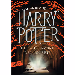 ISBN Harry Potter et la Chambre des Secrets, Français, 364 pages
