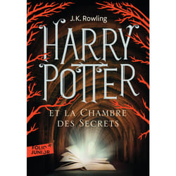 Harry Potter Tome 2 : Harry Potter et la chambre des secrets