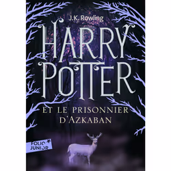 ISBN Harry Potter et le prisonnier d'Azkaban, Français, 448 pages