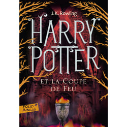 Harry Potter Tome 4 : Harry Potter et la coupe de feu