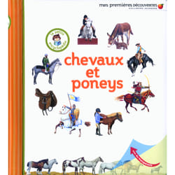 Chevaux et poneys