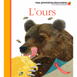 ISBN L'ours, Français, 24 pages