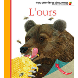 L'ours