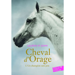 Cheval d'orage Tome 1 - un champion sans prix