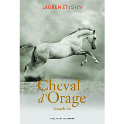 Cheval d'orage Tome 3 : Galop de feu