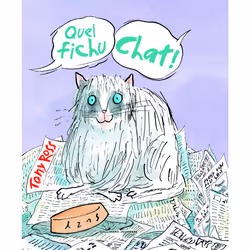 ISBN Quel fichu chat !, Français, 28 pages
