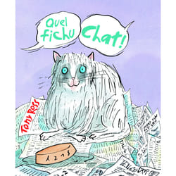 Quel fichu chat !