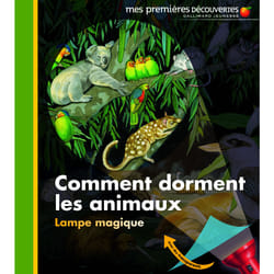 Comment dorment les animaux ?