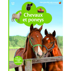 Chevaux et poneys