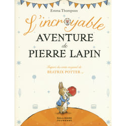 L'incroyable aventure de pierre lapin