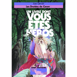 ISBN Les Druides de Cener, Français, 320 pages