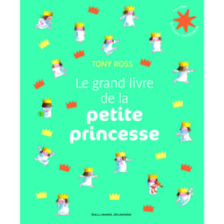 Le grand livre de la petite princesse