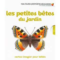 Les petites bêtes du jardin