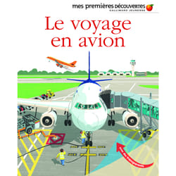 Le voyage en avion