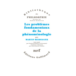 Les problèmes fondamentaux de la phénoménologie