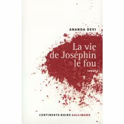 ISBN La Vie de Joséphin le fou, Français, 96 pages
