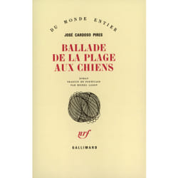 Ballade de la plage aux chiens (dissertation sur un crime)