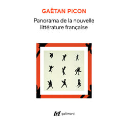 Panorama de la nouvelle litterature francaise