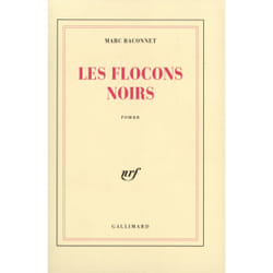 Les flocons noirs