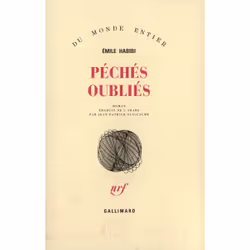 ISBN Péchés oubliés, Français, 160 pages