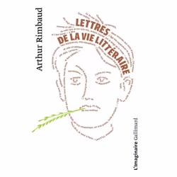 ISBN Lettres De La Vie Litteraire - (1870-1875), Romance, Français, Livre broché