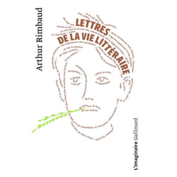 Lettres de la vie littéraire