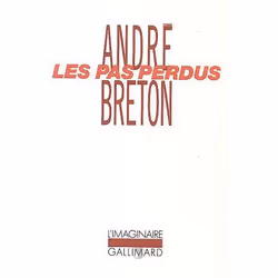 ISBN Les Pas Perdus, Romance, Français, Livre broché