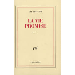 La vie promise