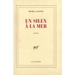 ISBN Un silex à la mer