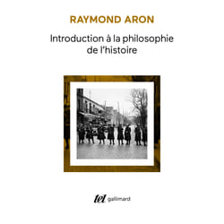 Introduction à la philosophie de l'histoire : essai sur les limites de l'objectivité historique