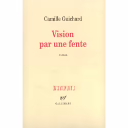 ISBN Vision par une fente, Français, 216 pages