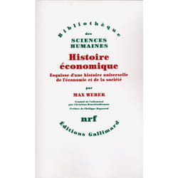 Histoire économique - esquisse d'une histoire universelle de l'économie et de la société