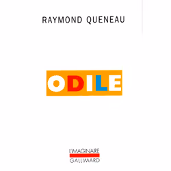 ISBN Odile, Français, 196 pages