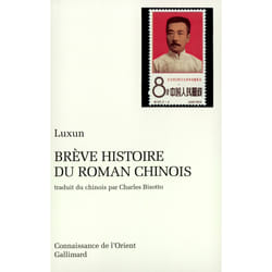 Breve histoire du roman chinois