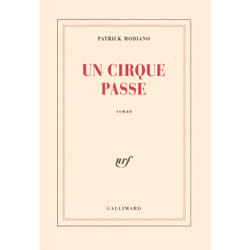 Un cirque passe