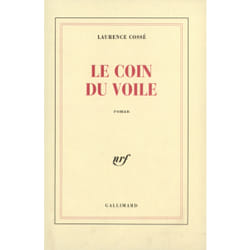 Le coin du voile