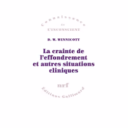 ISBN La crainte de l'effondrement et autres situations cliniques, Français, 384 pages