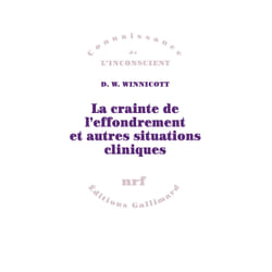 La crainte de l'effondrement et autres situations cliniques