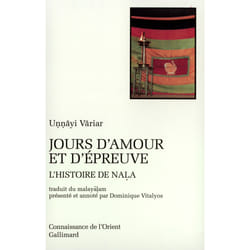 Jours d'amour et d'épreuve - l'histoire de Nala