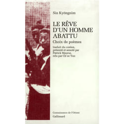 Le reve d'un homme abattu