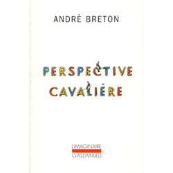 Perspective cavalière