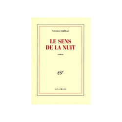 Le sens de la nuit roman